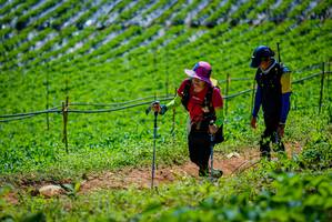 BIB: 
                            <button type="button" onclick="openModal(19164662)" class="btn btn-primary btn-sm float-right btn-popup" data-toggle="modal" data-target=".modal-high-quality">
                        <i class="fas fa-shopping-cart"></i> Add to Cart
                    </button>
                                            <button type="button" onclick="isThisMe(19164662, true)" class="btn btn-success btn-sm float-right btn-popup btn-isme hidden" data-toggle="tooltip" data-placement="bottom" title="นี่คือรูปของคุณใช่ไหม คลิกที่นี่เพื่อเอาเข้าอัลบั้ม">
                        <i class="fas fa-plus"></i> Add to album
                    </button>
                    <button type="button" onclick="isThisMe(19164662, false)" class="btn btn-warning btn-sm float-right btn-popup btn-isnotme hidden">
                        <i class="fas fa-ban"></i> Remove from album
                    </button>